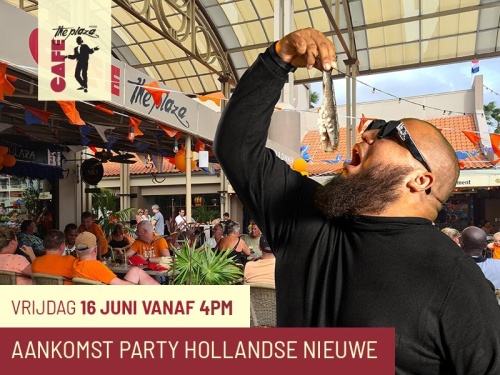 Vier de Nederlandse Traditie van 'Haring Happen' bij Café the Plaza!